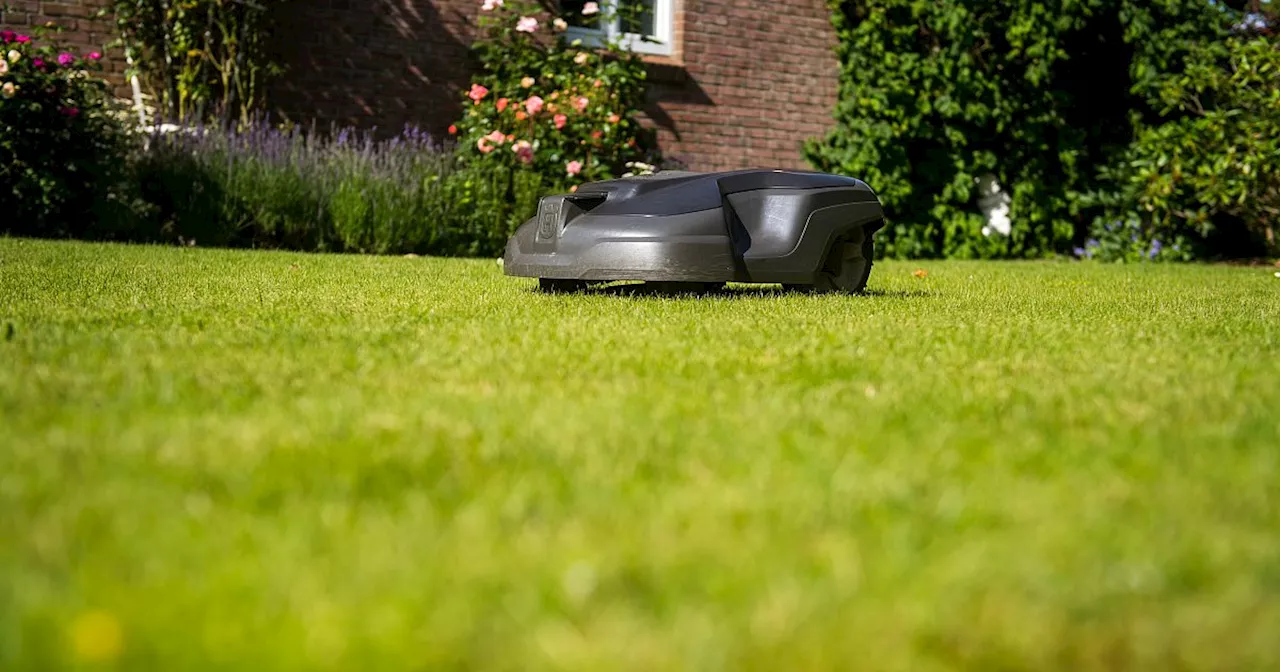 Nachtfahrverbot für Mähroboter scheitert in Kirchlengern