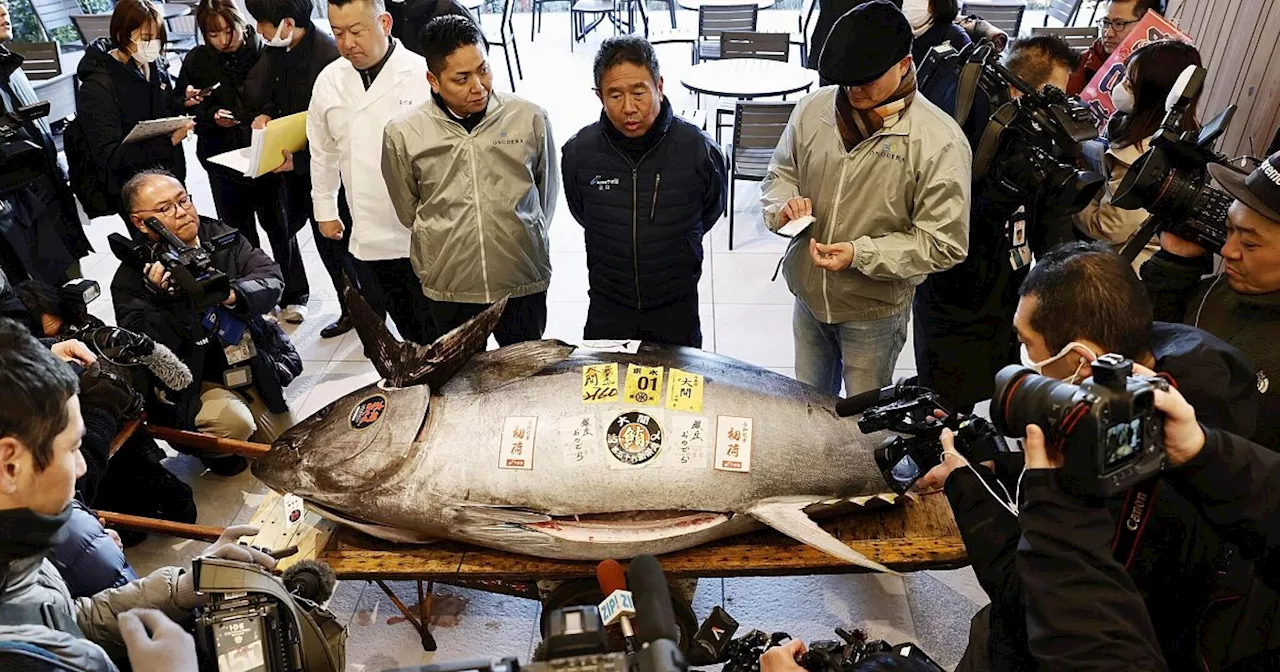 Rekord-Thunfisch-Versteigerung in Tokio