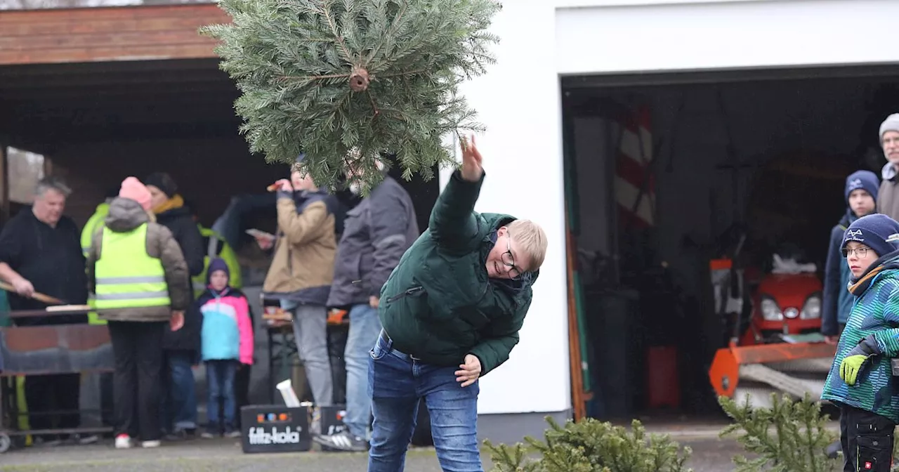 Weihnachtsbaum-Abholung in Bad Oeynhausen