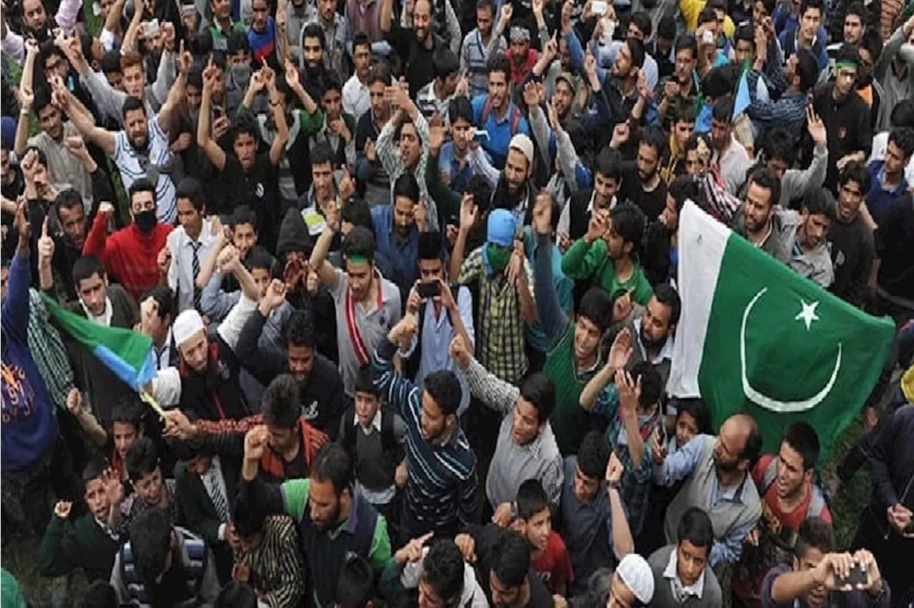 Freedom Struggle: Kashmiris Observing Right To Self-Determination Day Today