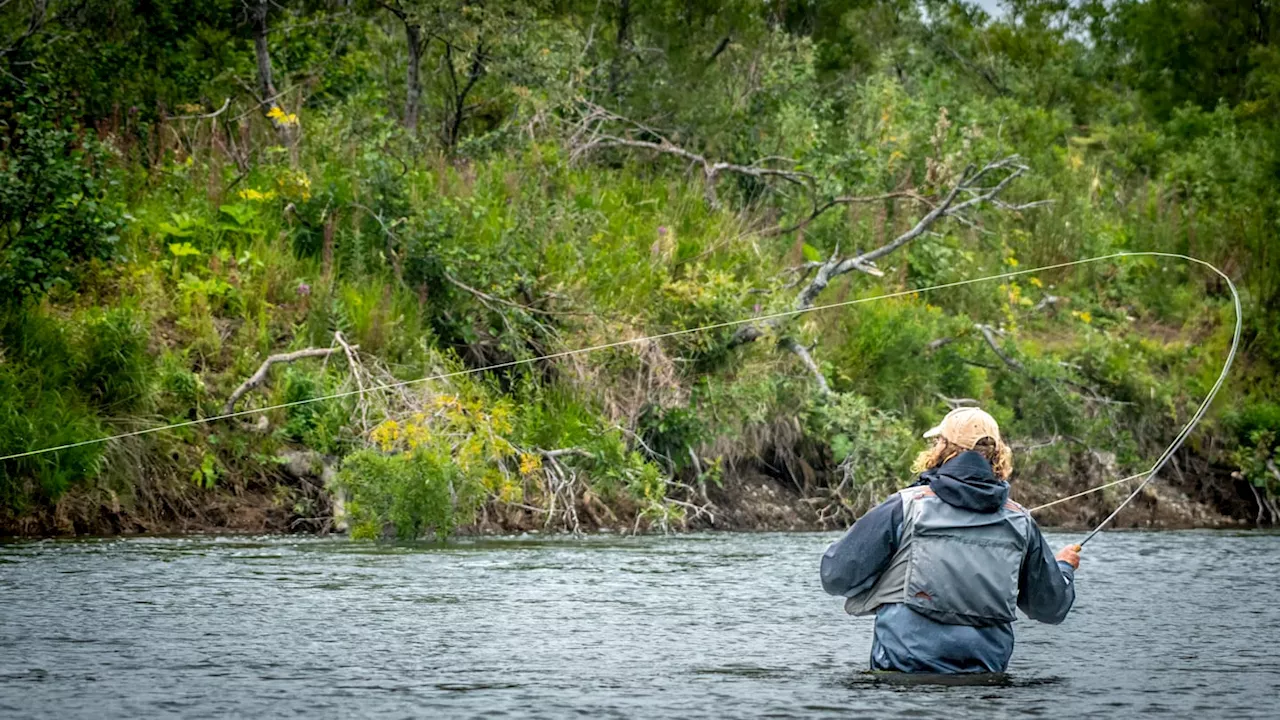 Understanding Shooting Head Fly Lines