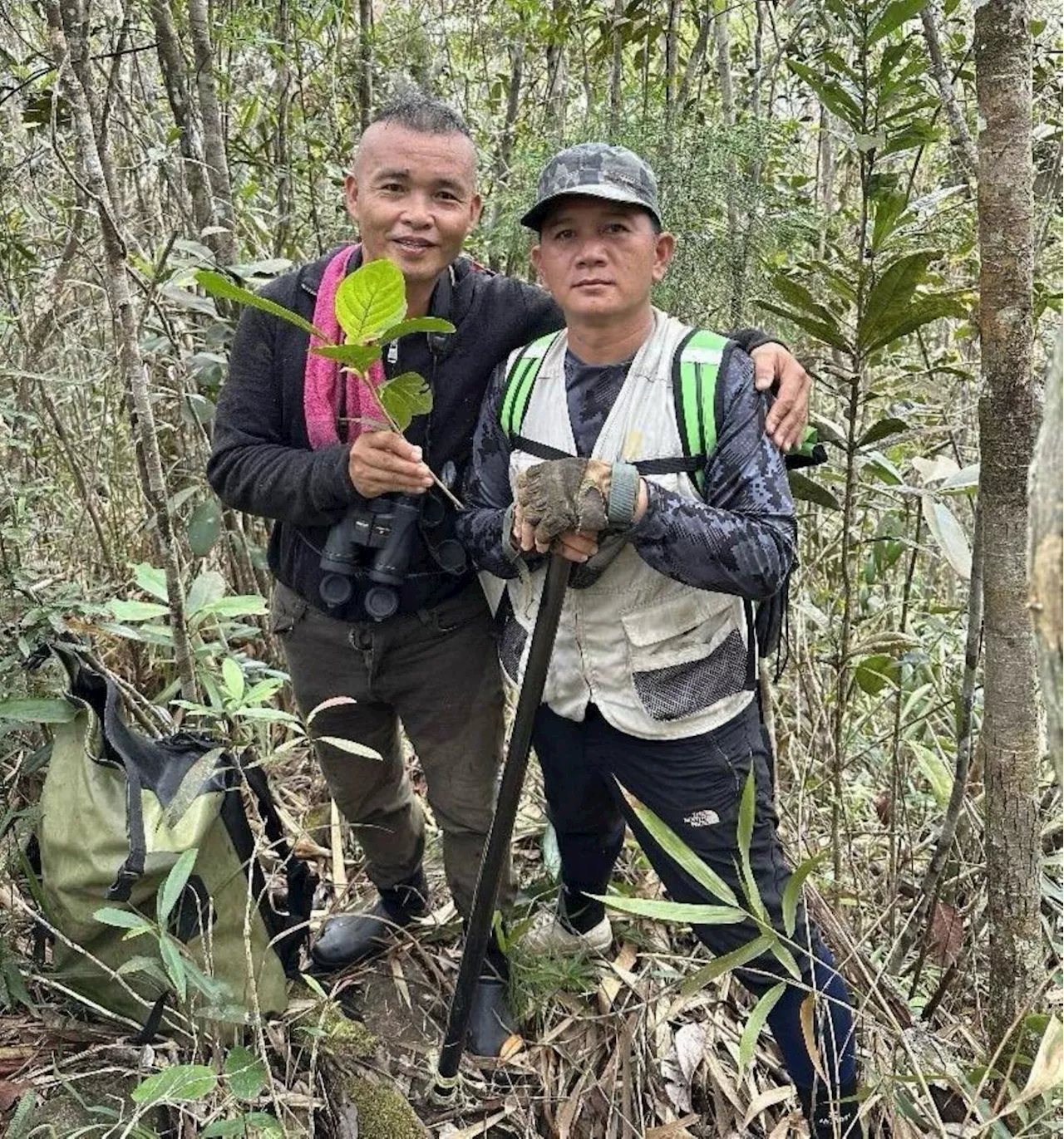 Rare Coffee Plant Rediscovered, Officially Recognized as New Genus