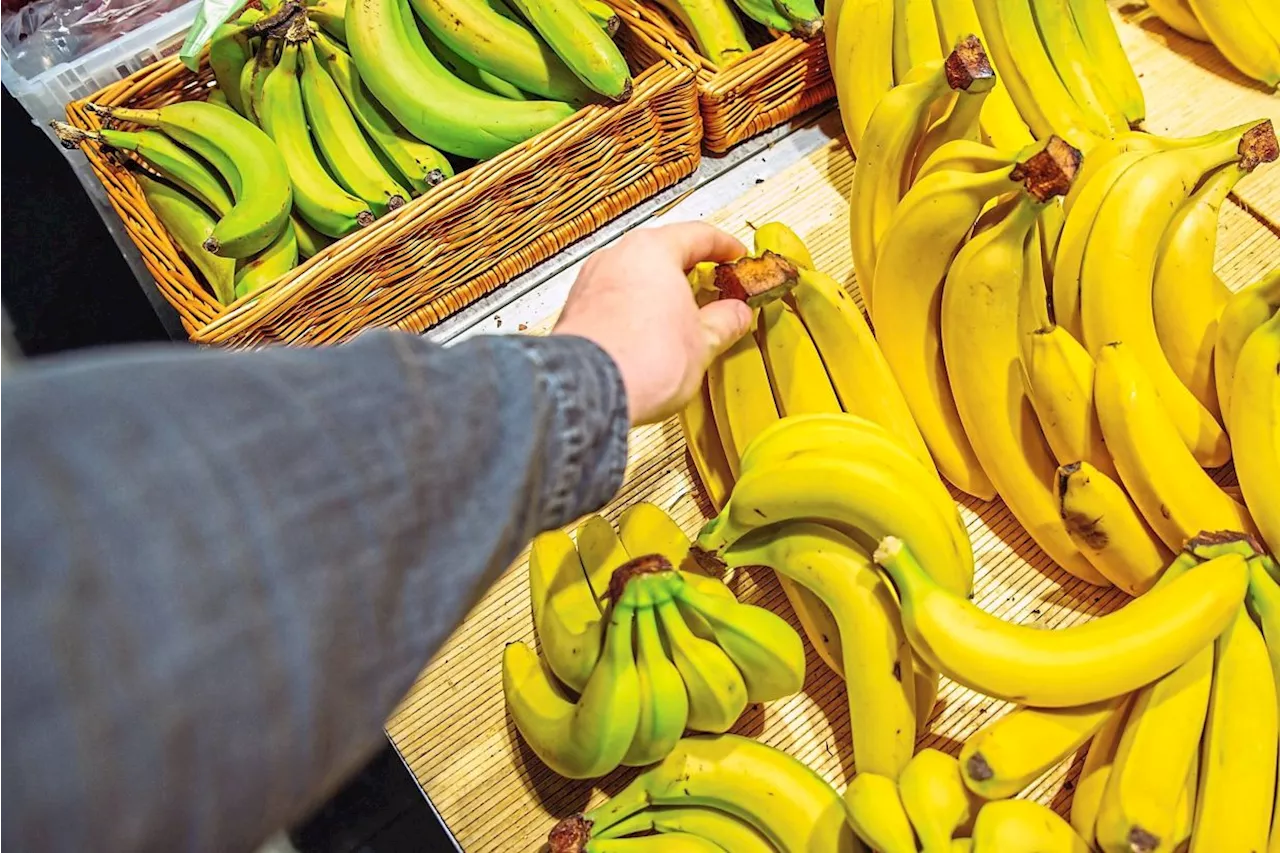 Sad Banana Signs Boost Sales, But Price Cuts Win Out