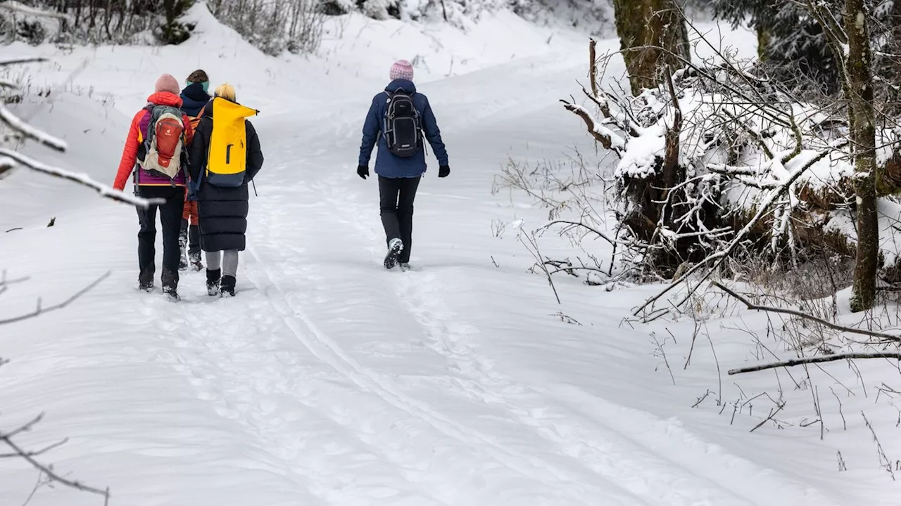 Schnee und Glatteis im Thüringer Wald