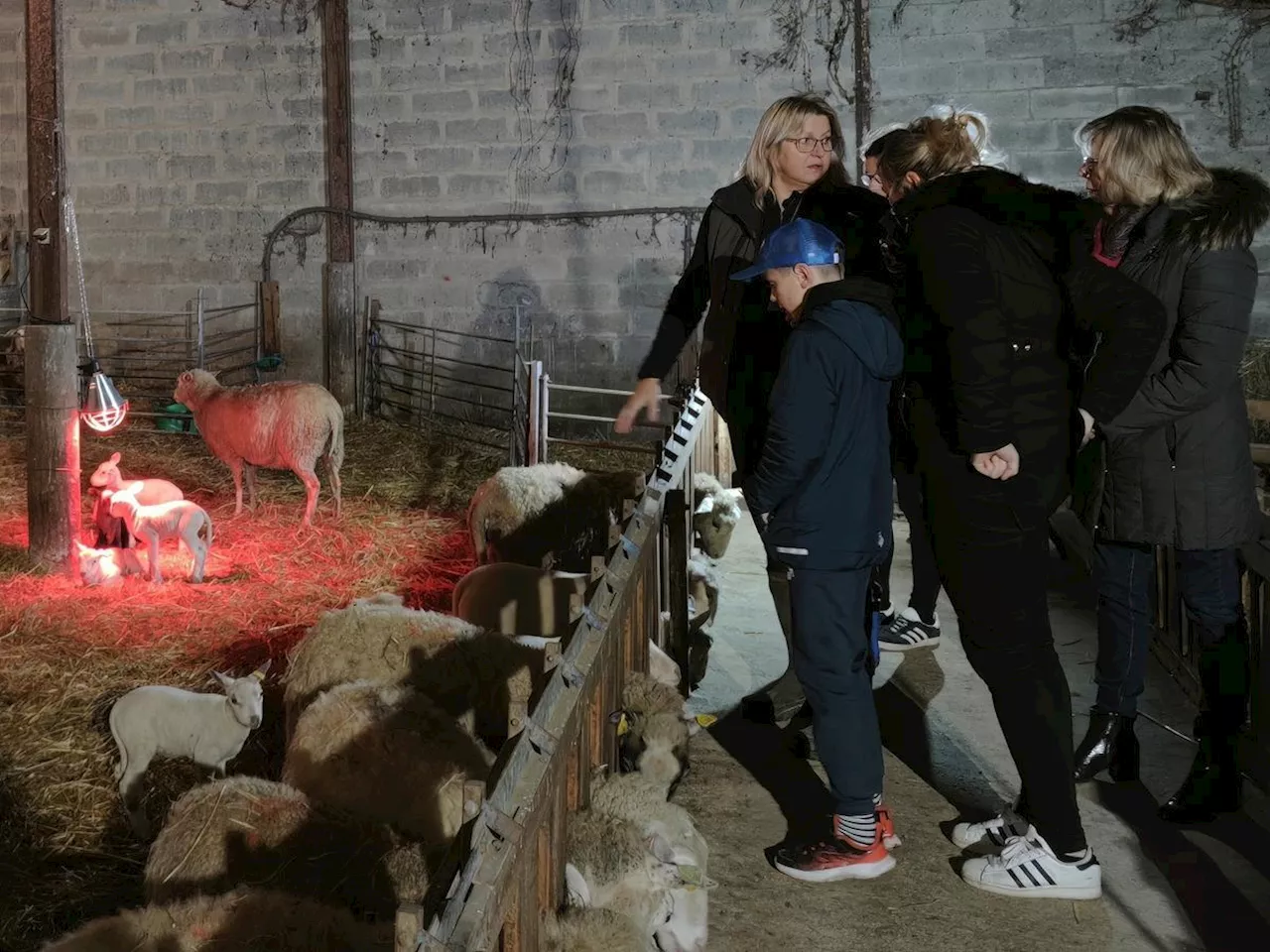 La maire bergère ouvre sa ferme aux visiteurs