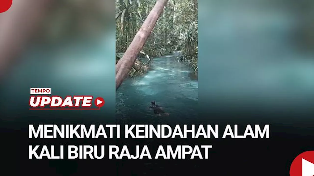 Kali Biru di Raja Ampat Kena Boom Pengunjung Saat Libur Nataru