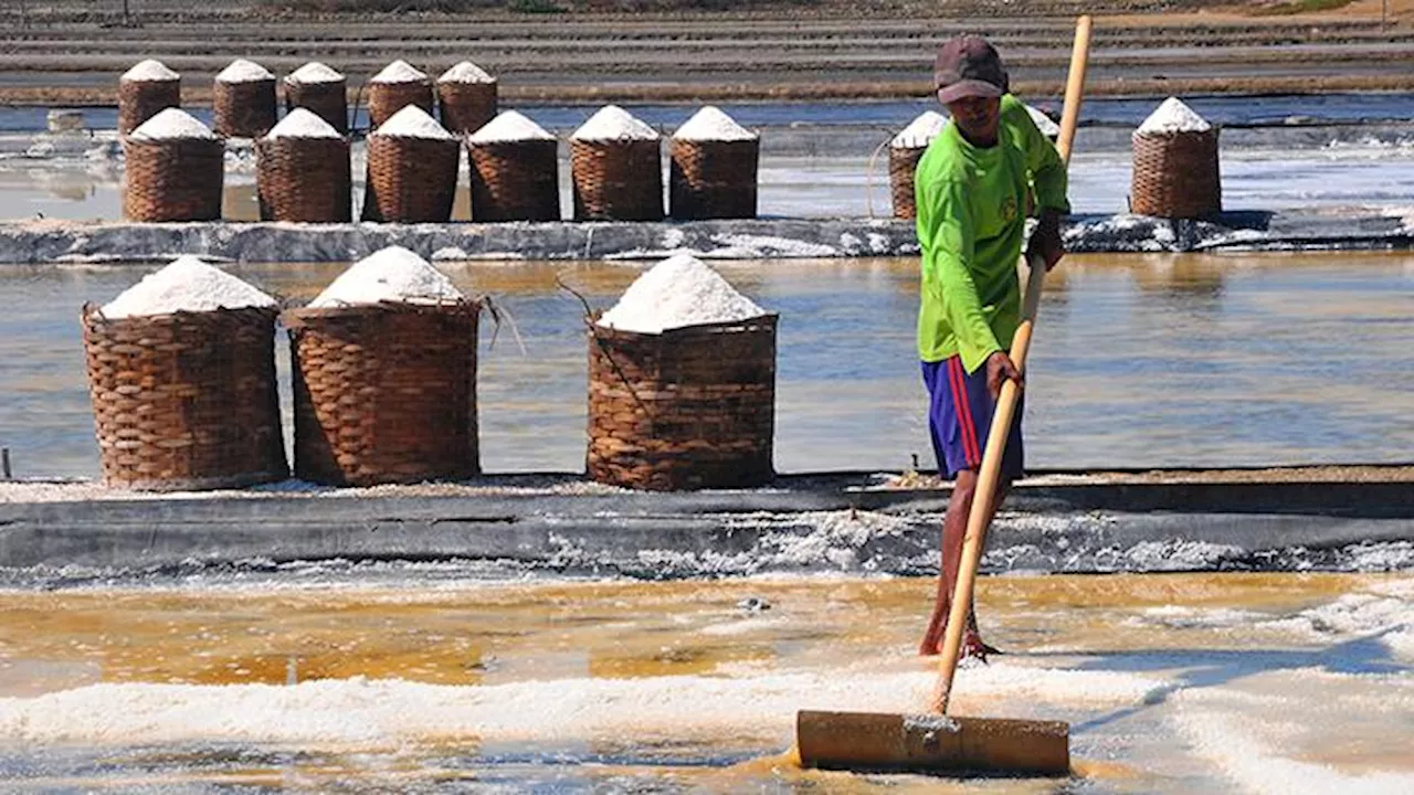 KKP Ekstensifikasi Tambak Garam di NTT untuk Swasembada Garam