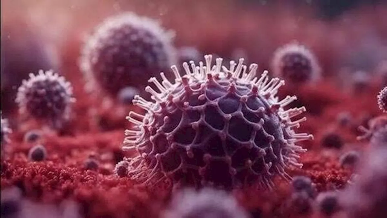 Cases surge as China faces outbreak of respiratory virus HMPV