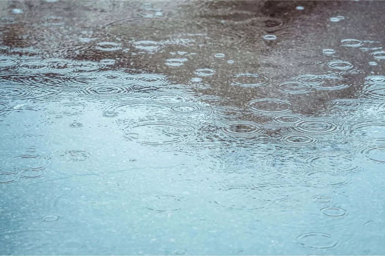 Heavy Rain Warnings Issued for Parts of South Africa
