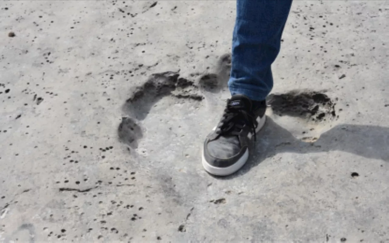 200 Dinosaur Footprints Unearthed in Oxfordshire Quarry