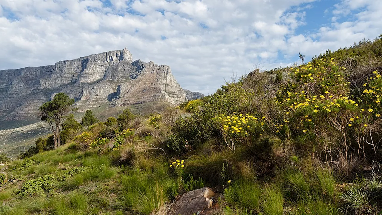 Hiking Safety Guidelines for Table Mountain