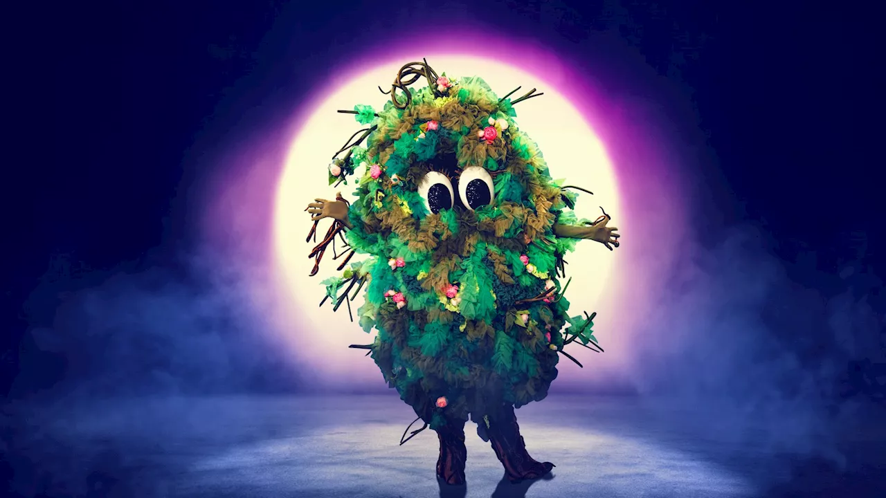 Masked Singer fans are convinced new character Bush is a pop band star after spotting giveaway clue...