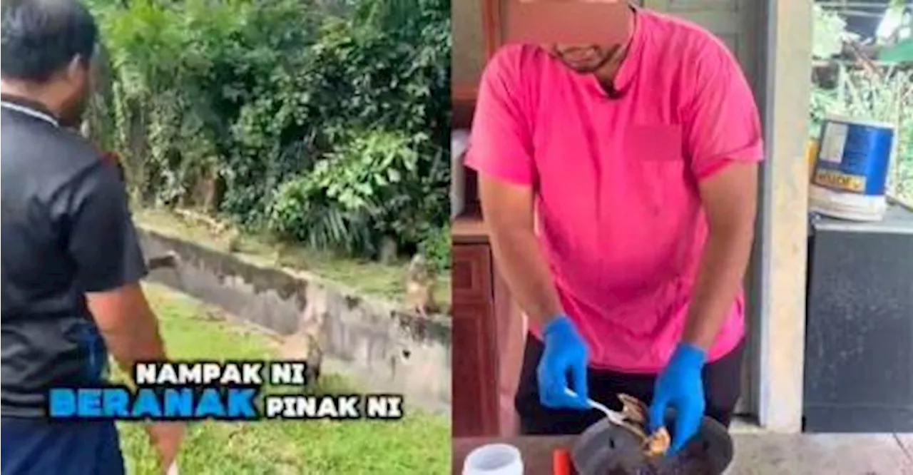 Man Faces Backlash for Poisoning Monkeys in Viral Video