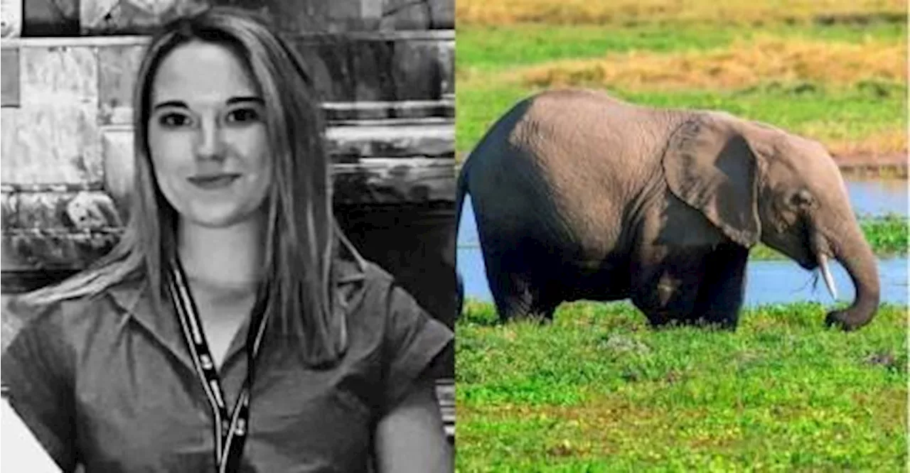 Spanish Student Killed in Elephant Attack at Thai Sanctuary