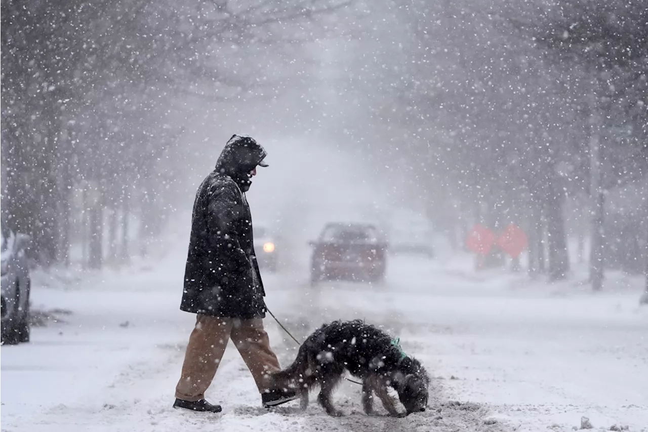 Tormenta de nieve en Estados Unidos causa caos vial