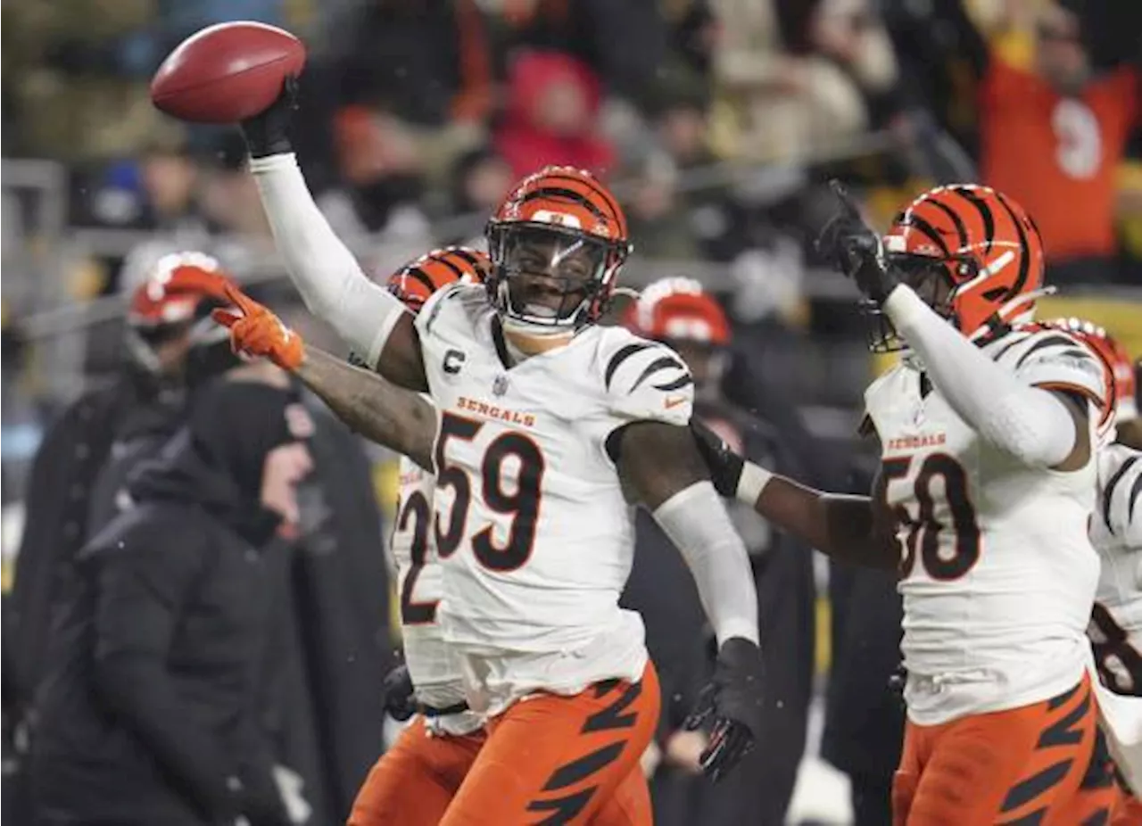 Bengals Vencen a Steelers en Partido Ajuste