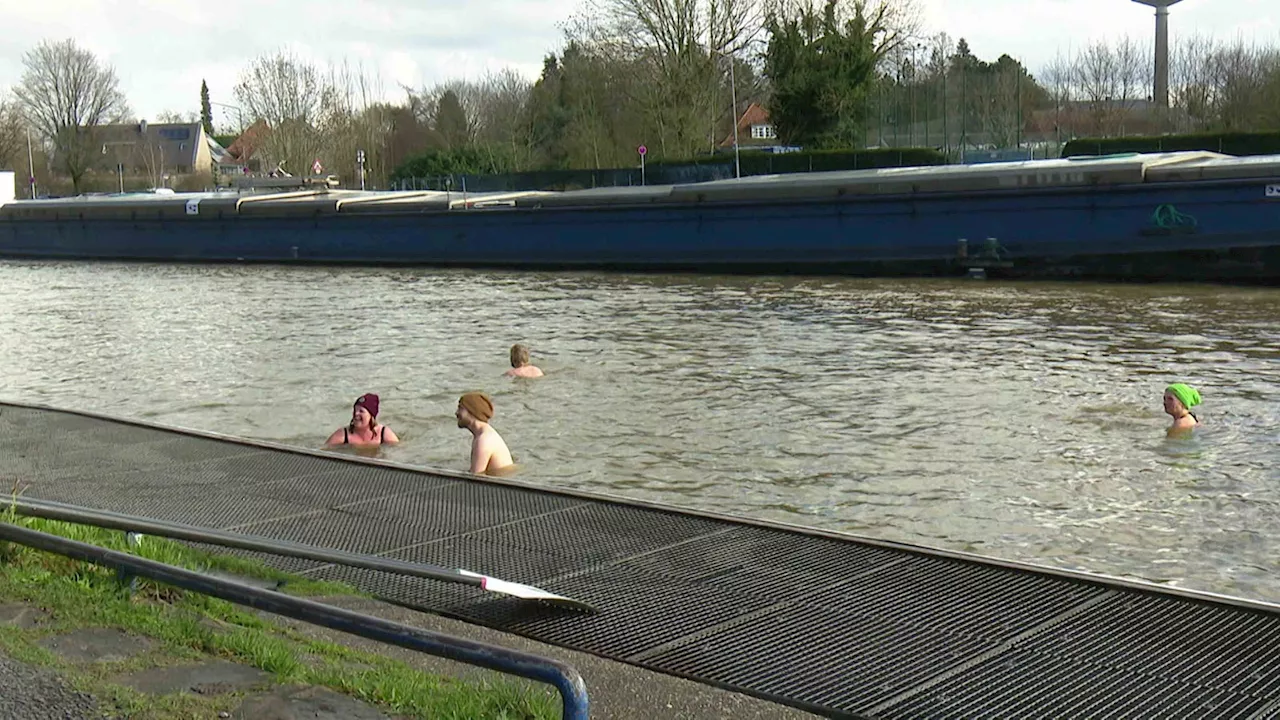 Erstes Eisbaden in Münster: Zittern für den guten Zweck