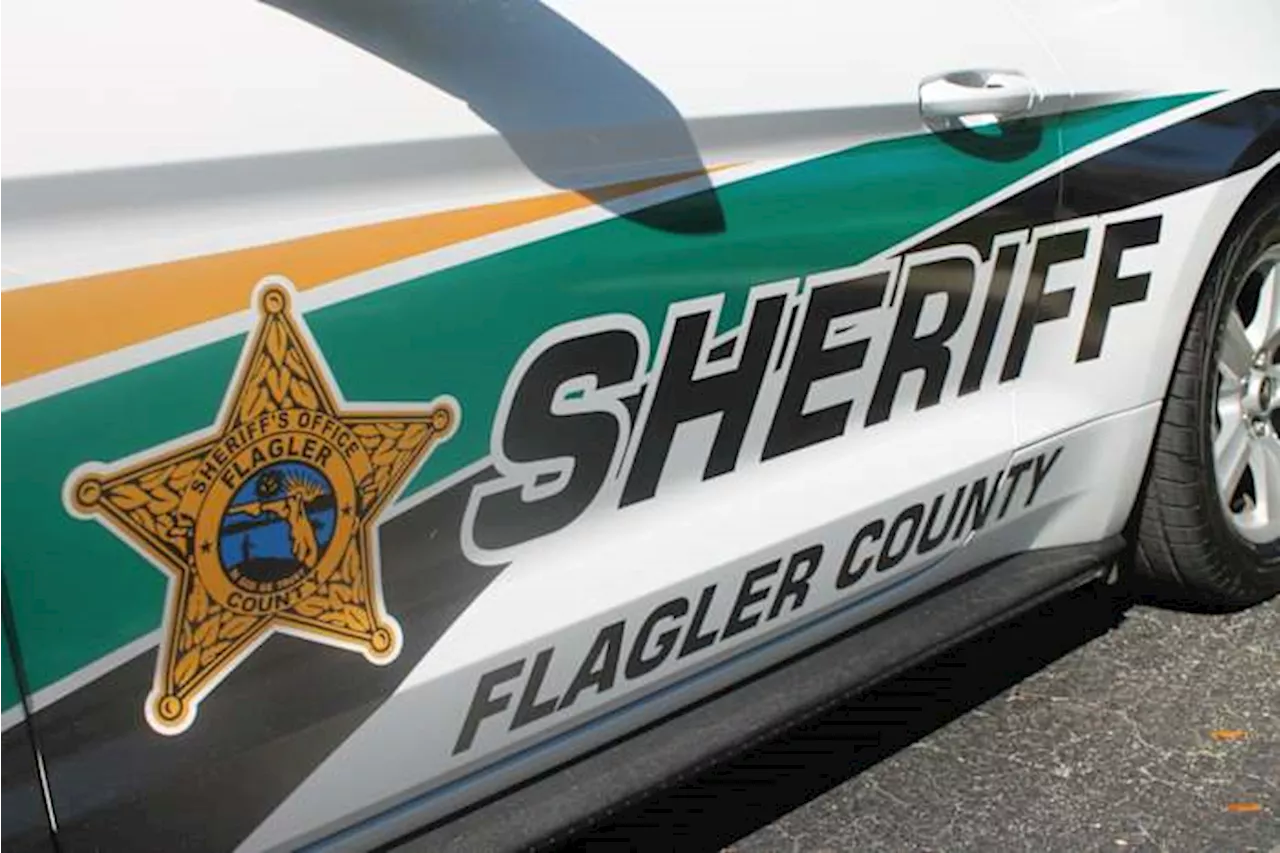 Man arrested after pulling gun on Flagler County deputy