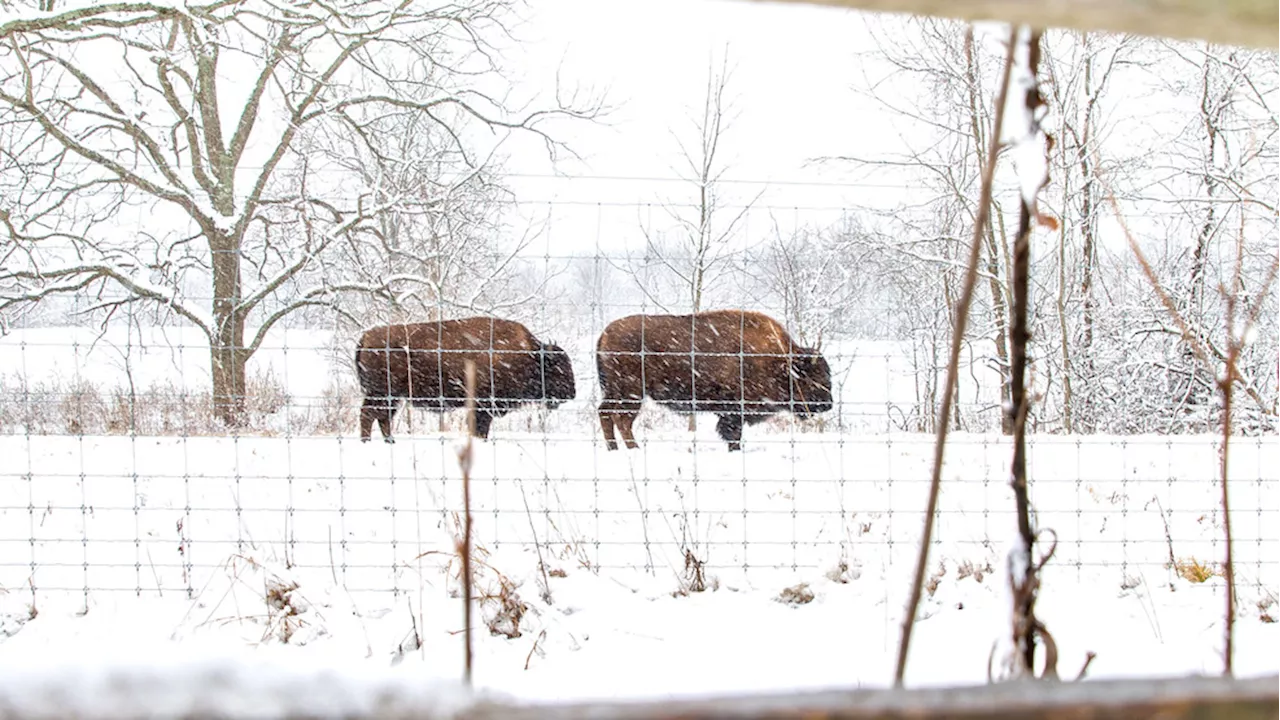 Heavy Snow and Ice Expected in Central Ohio