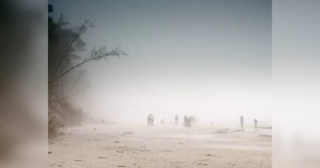 Rajasthan Weather Update: नए पश्चिम विक्षोभ से राजस्थान में मंडरा रहे काले बादल, कोहरे और ठंड से सिसक रहे लोग, प्रदेश में माइनस को छूने की फिराक में तापमान