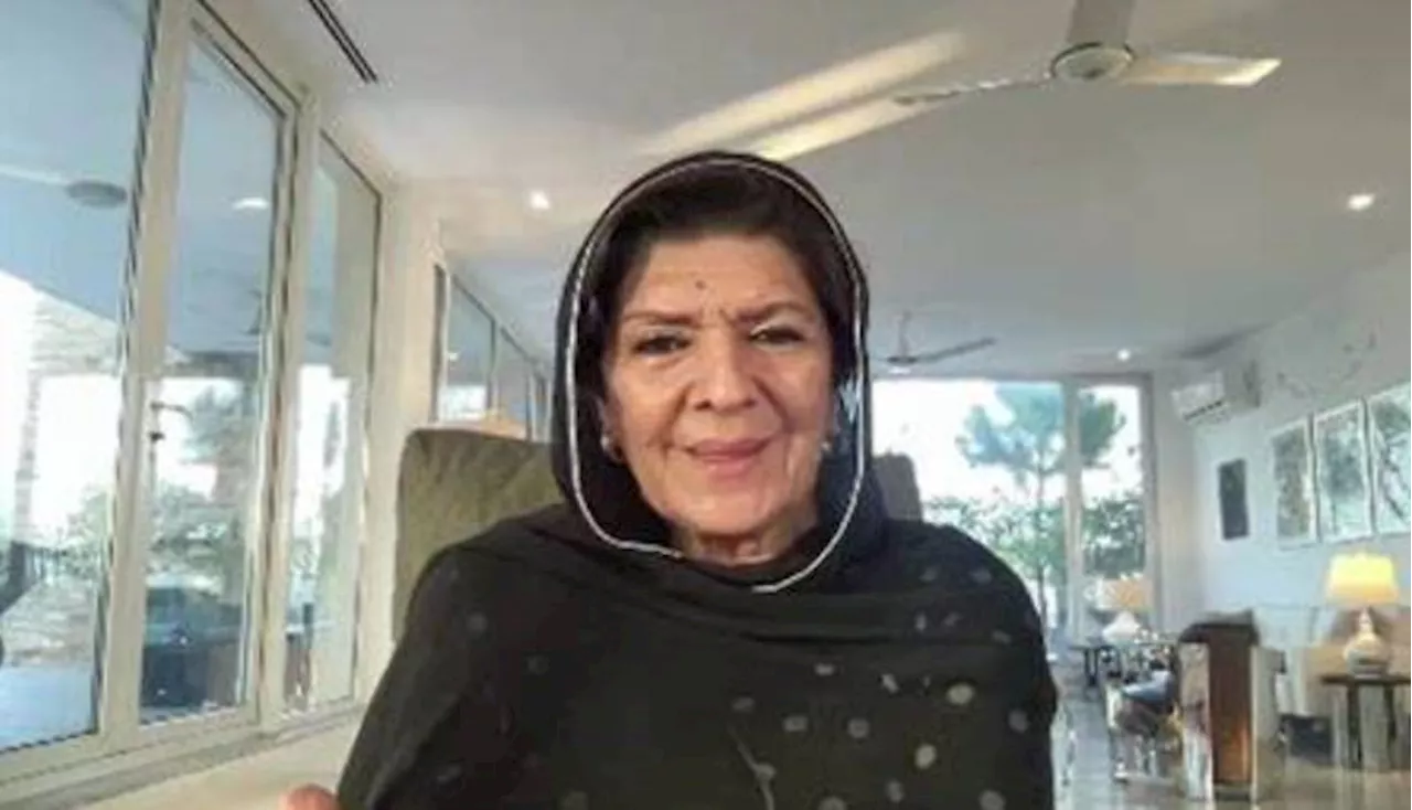 Aleema Khan alleges government maligning Imran Khan