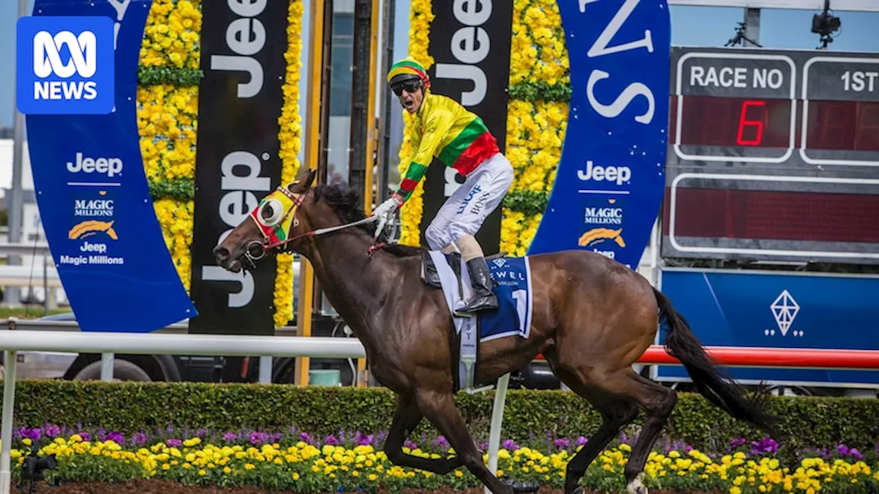 Magic Millions Racecourse Damaged: Poison Suspected