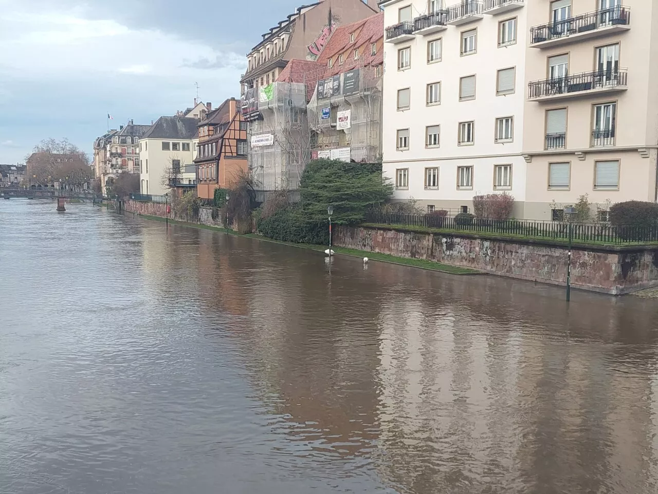 Vigilance Jaune Crues et Vent en Bas-Rhin