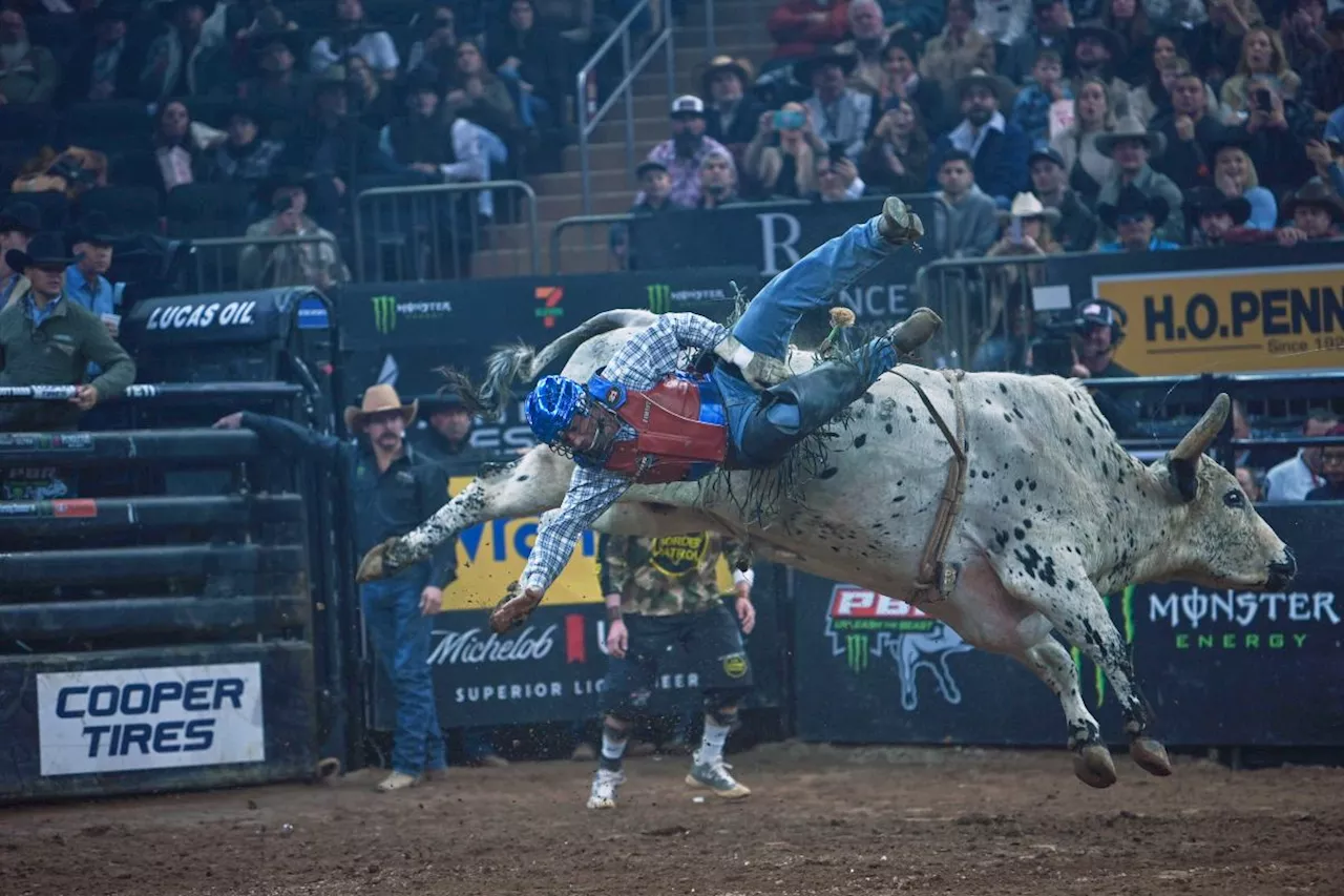 Unleash the Beast: Record Crowd Witnesses Thrilling Bull Riding Weekend