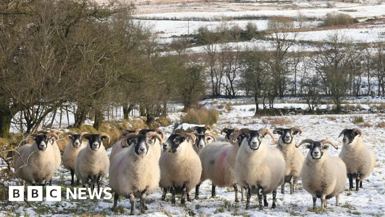 Ice Warning Issued for Northern Ireland, Power Outages in Republic of Ireland