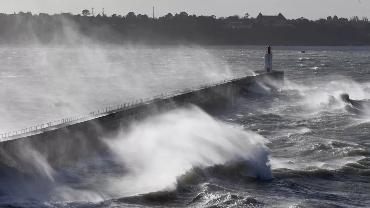 Tempête Floriane : des rafales violentes touchent le Nord de la France