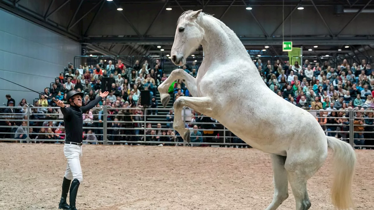 Gewinnen Sie Tages-Tickets für den 18.01.25 für die „Partner Pferd 2025“