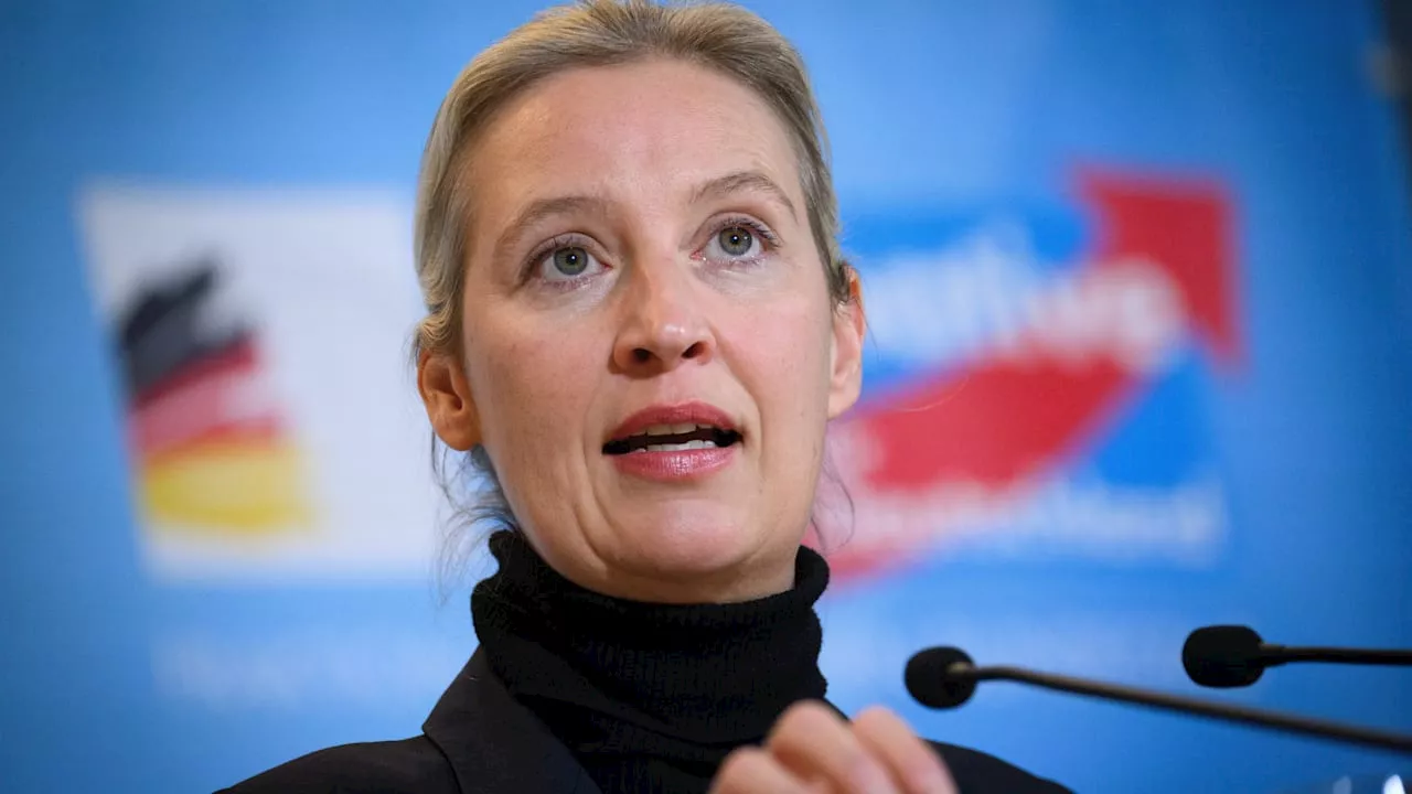 Weidel-Musk-Gespräch: Risiko für AfD-Chefin