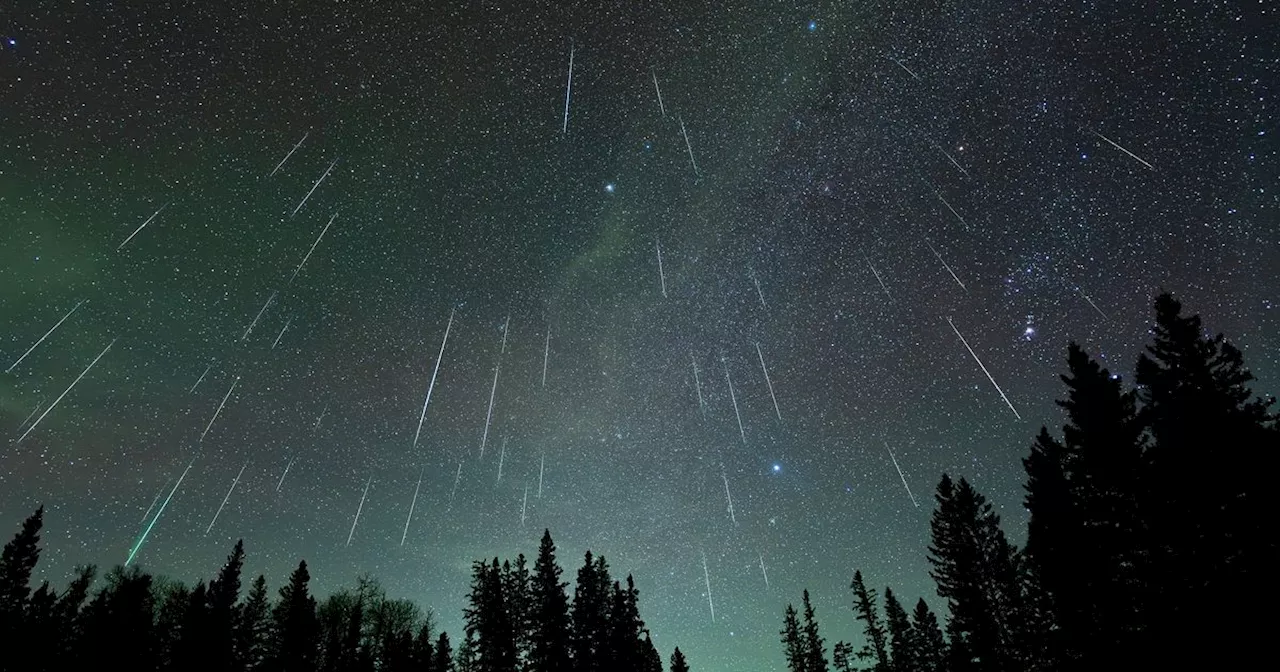 Quadrantids Meteor Shower Still Visible in Canada