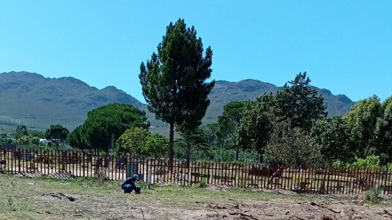 Cape Town Opens New Cemetery Extension to Address Burial Space Demand