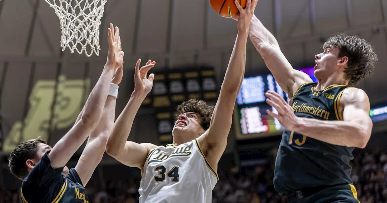 Purdue Dominates Northwestern, Extends Home Winning Streak