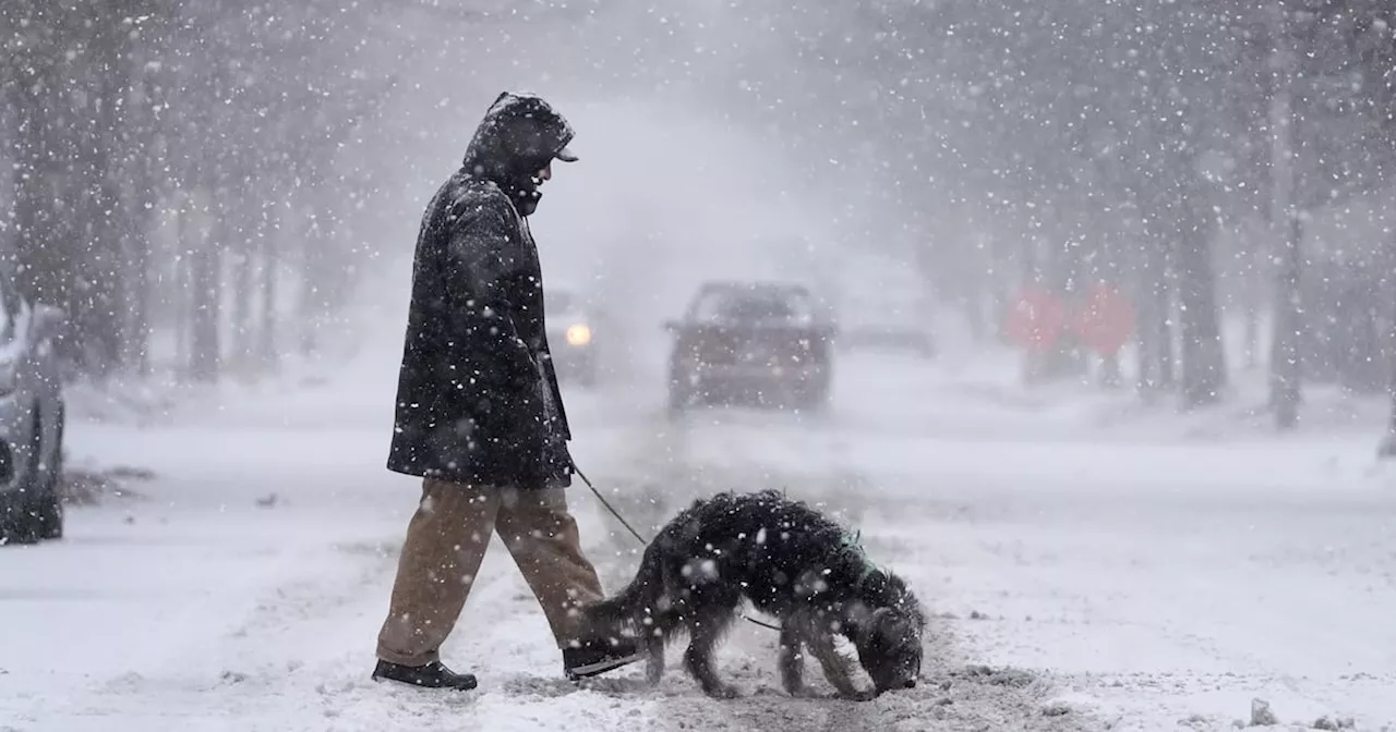 Heavy Snow, Ice and Wind Disrupt Travel Across Central US