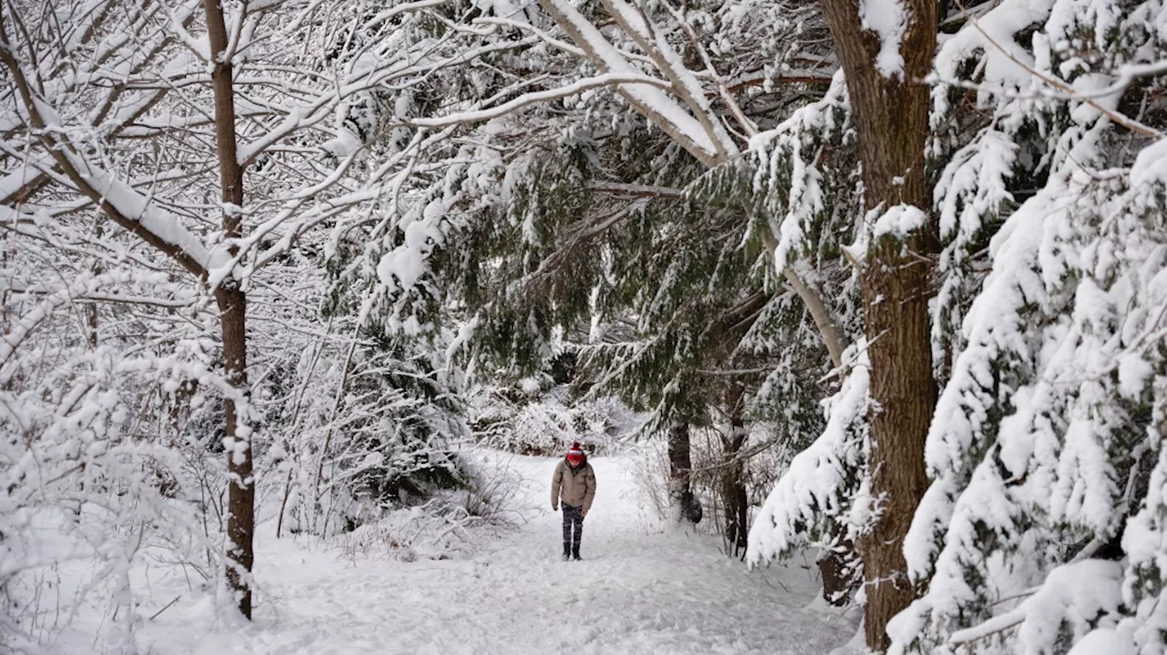 Extreme Cold and Winter Storms Hit Canada and East Coast US