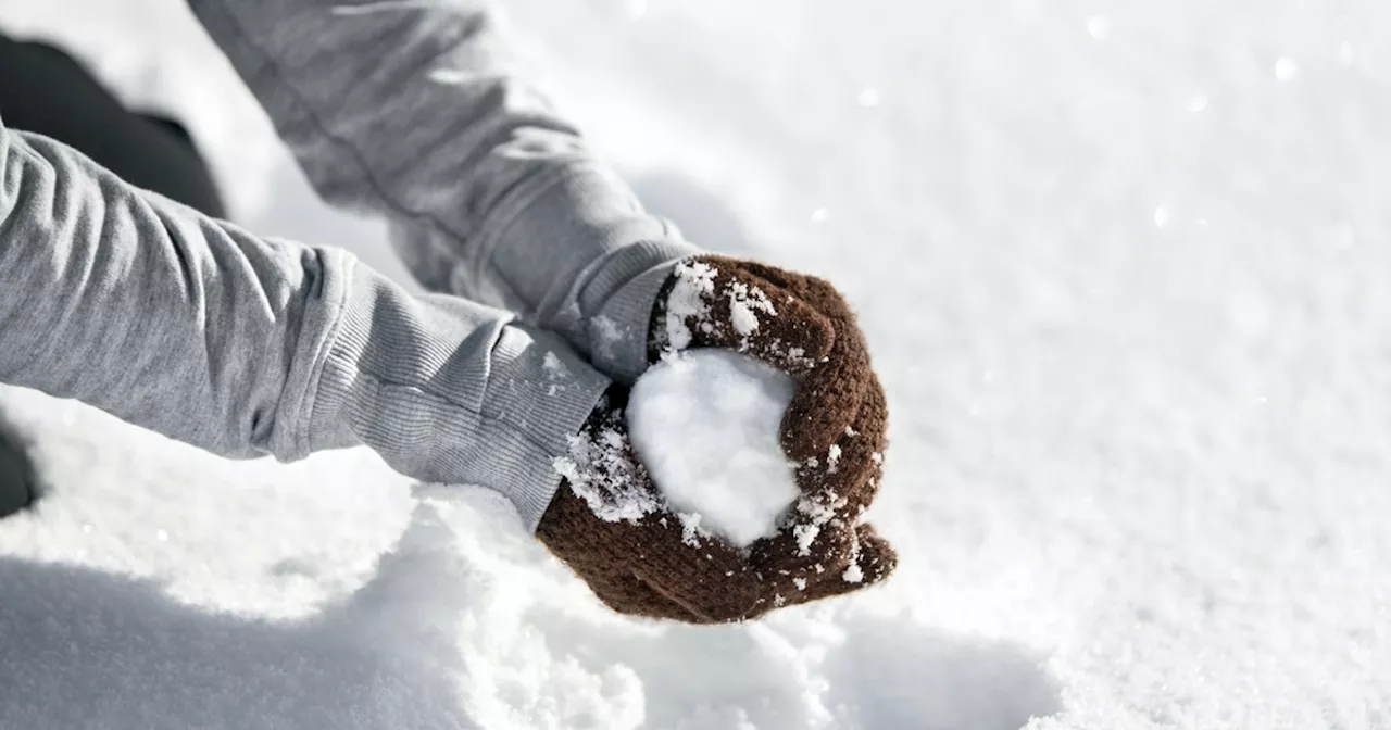 Snevejr i Danmark: DMI udsender varsel