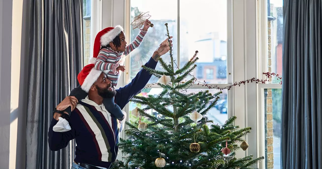 Christmas Tree Collection Dates Announced for Aberdeen and Aberdeenshire