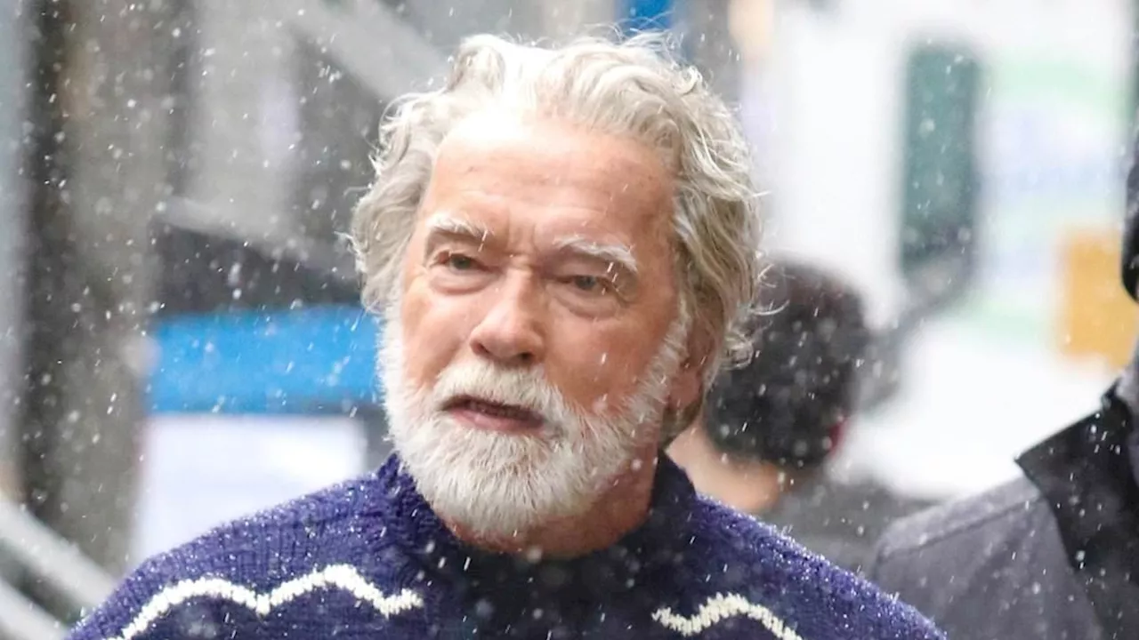 Arnold Schwarzenegger Takes on the Role of Santa Claus in New Christmas Film