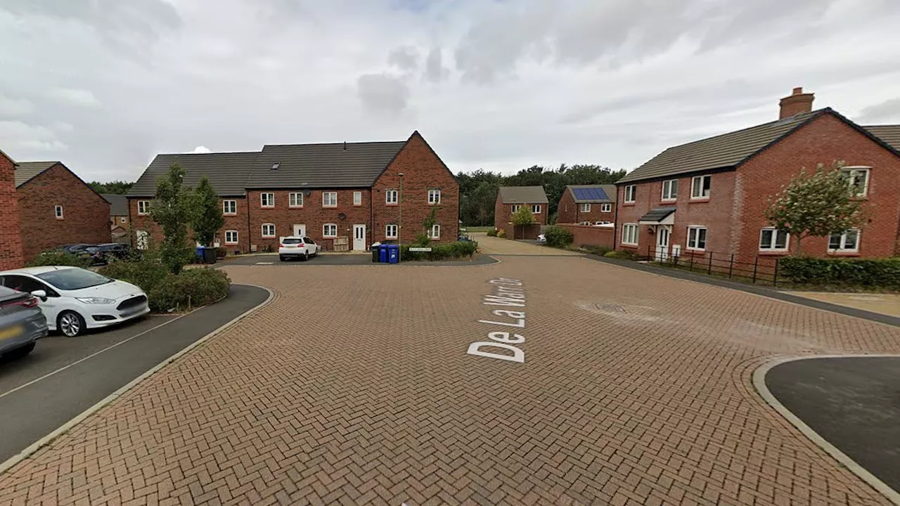 Knife-wielding burglars attack woman in front of two children before locking them in bathroom in...