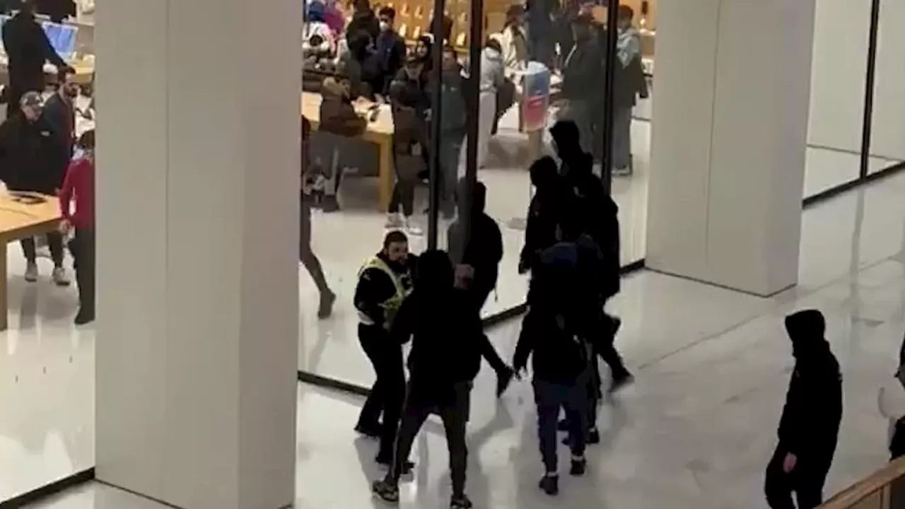 Terrifying Moment Hooded Youths Raid Apple Store in Broad Daylight