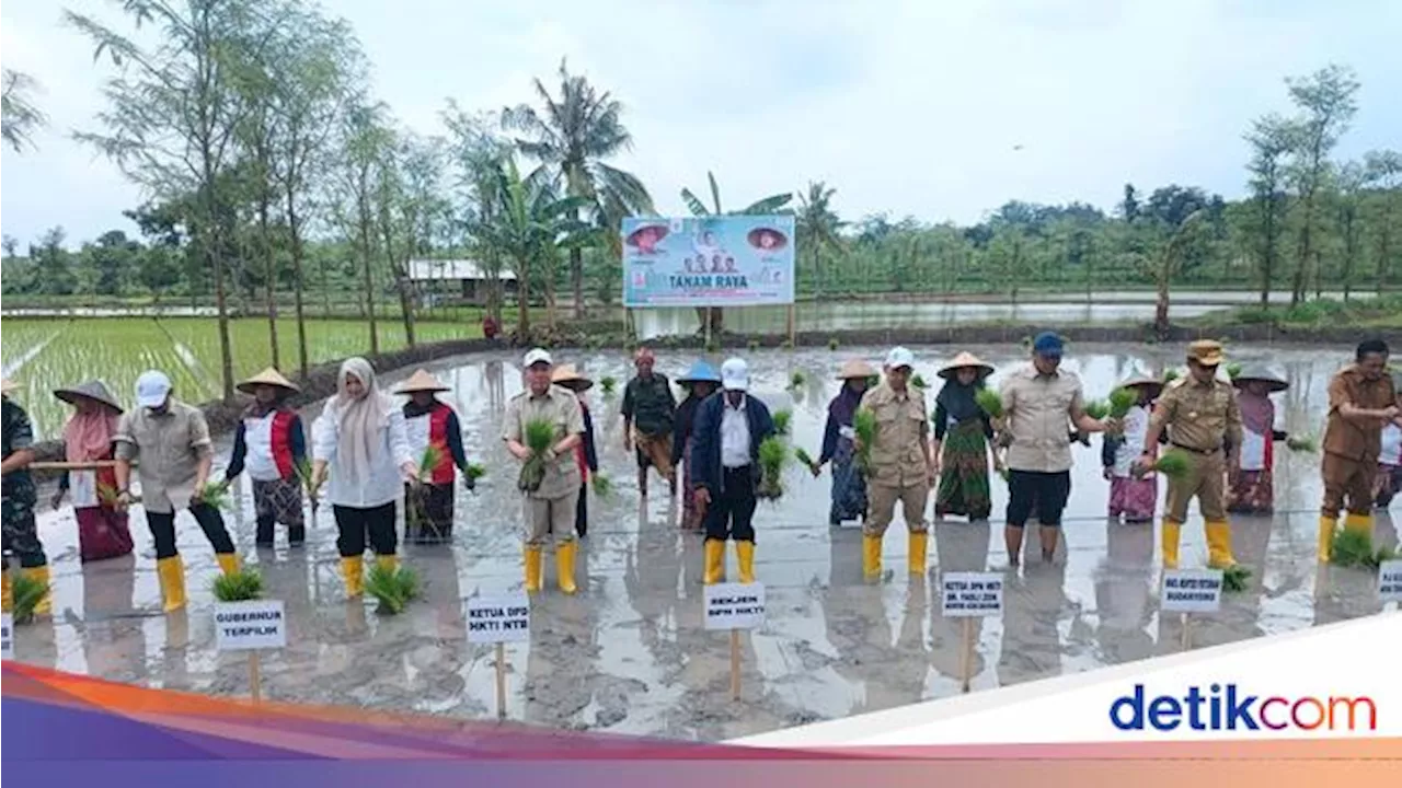 Wamentan Minta Masyarakat NTB Tanam Padi Gamagora 7