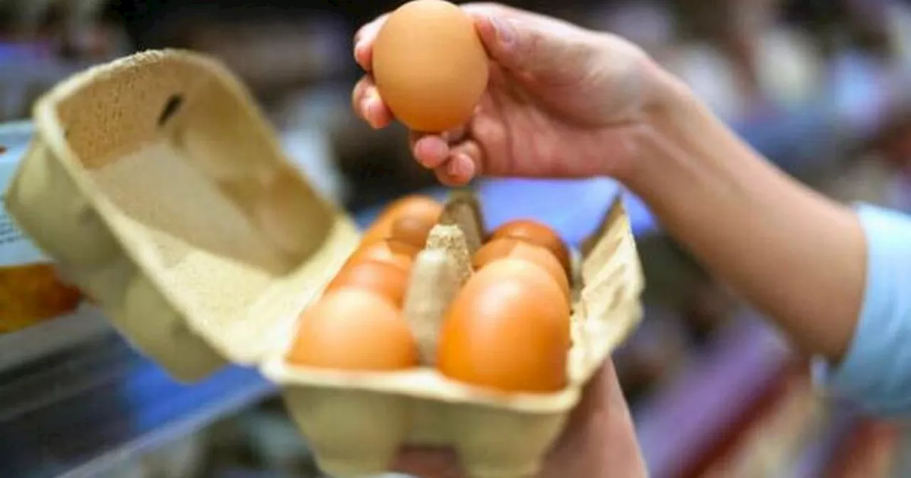 Mary Berry Finally Settles the Great Egg Storage Debate