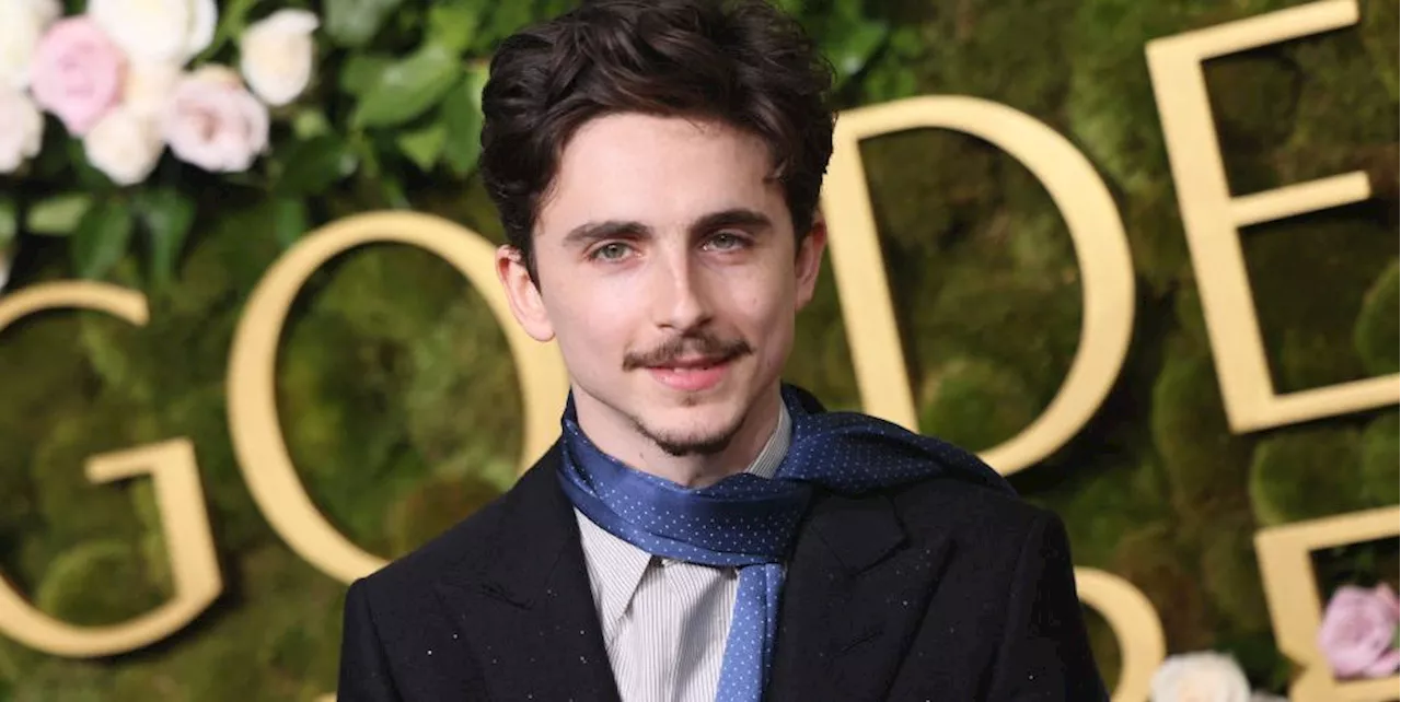 Timothée Chalamet's Golden Globes Scarf Marks the Year of Accessories