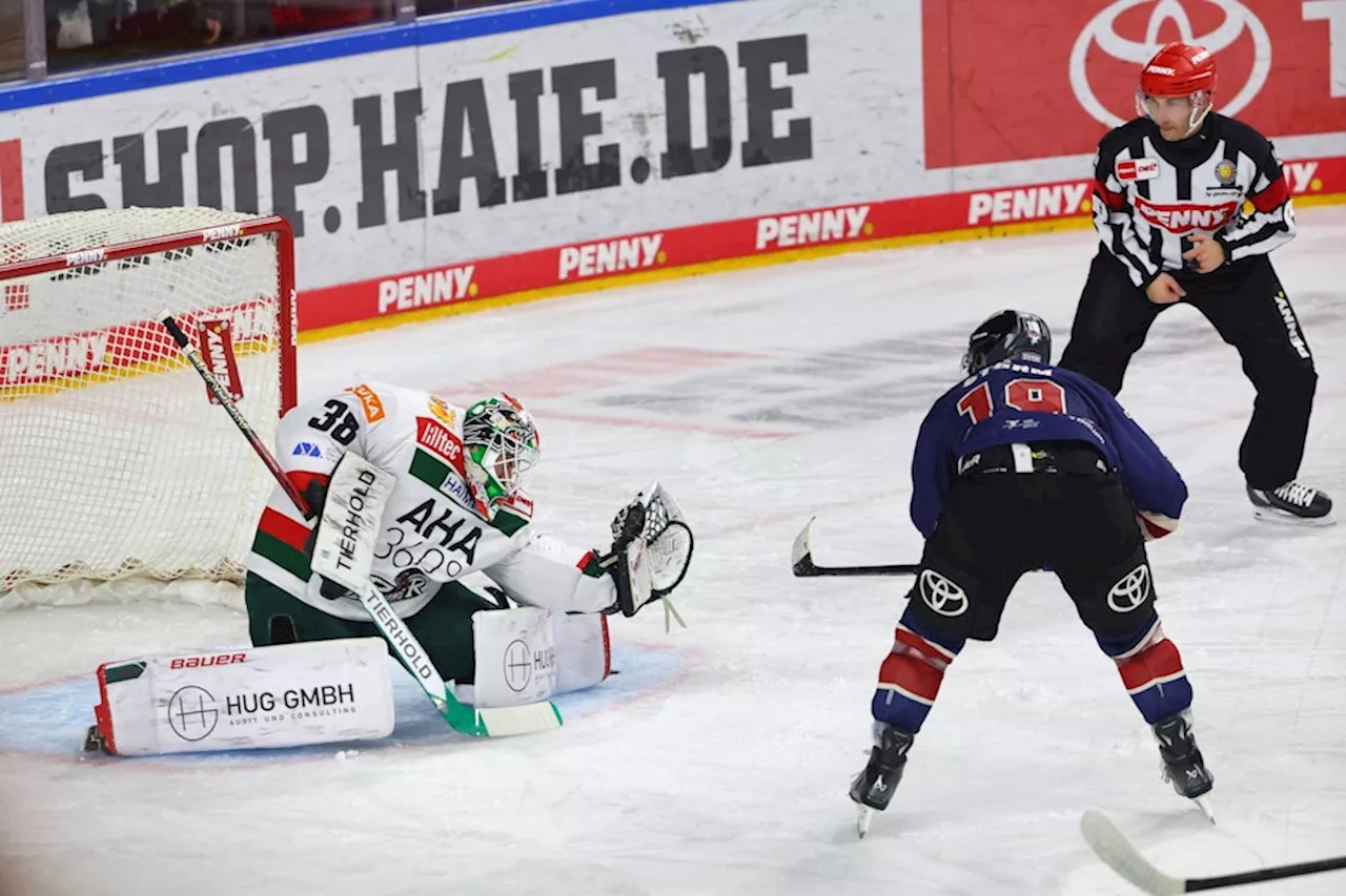 Kölner Haie unterliegen Augsburger Panthern