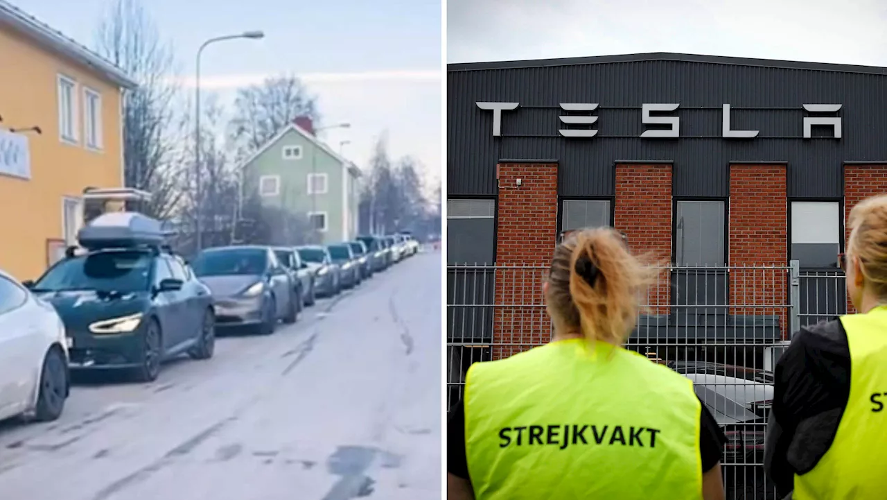 Laddstationer i fjällen överskölts av elbilsägare