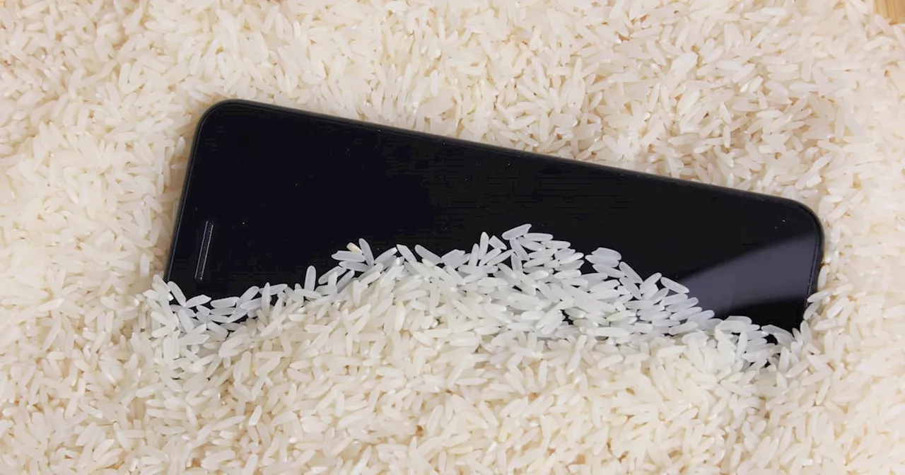 ¿Sirve meter el celular en arroz? Lo que debes hacer si tu smartphone cae al agua