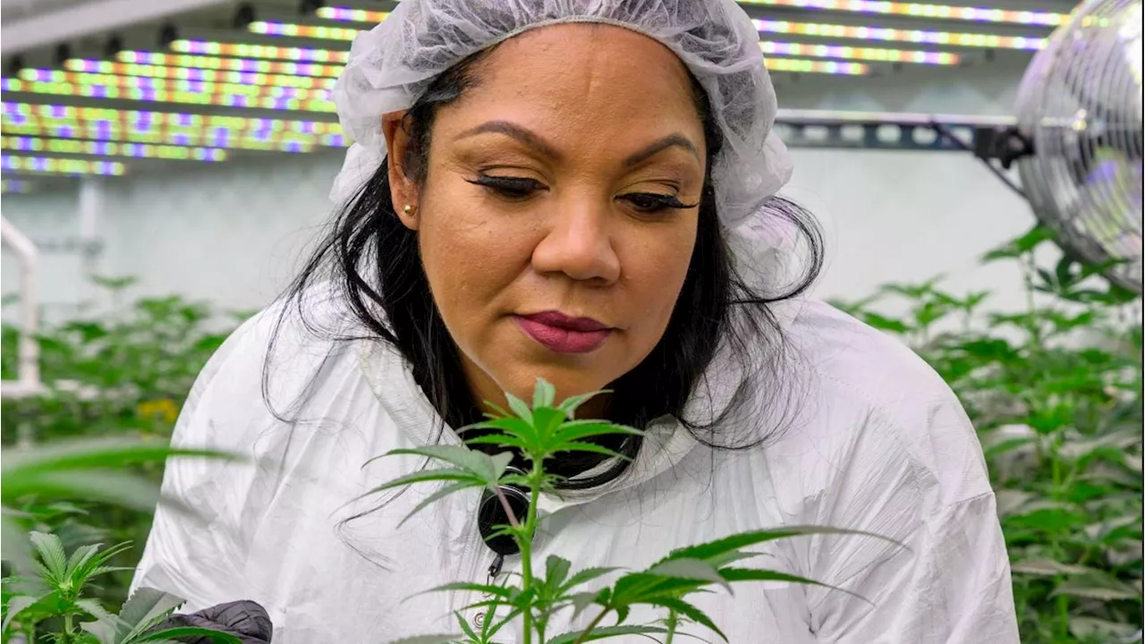 Dr. Chanda Macias: Breaking Barriers in Cannabis