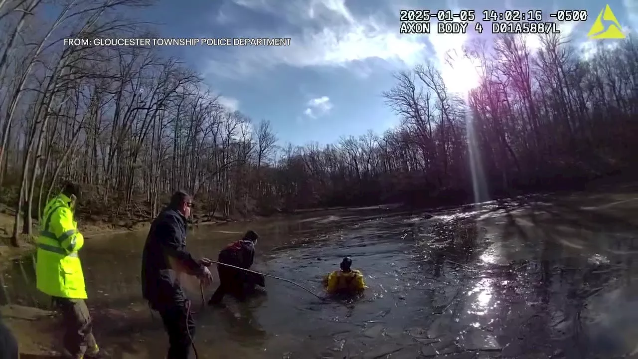 Woman and Dogs Rescued from Partially Frozen Creek at Dog Park